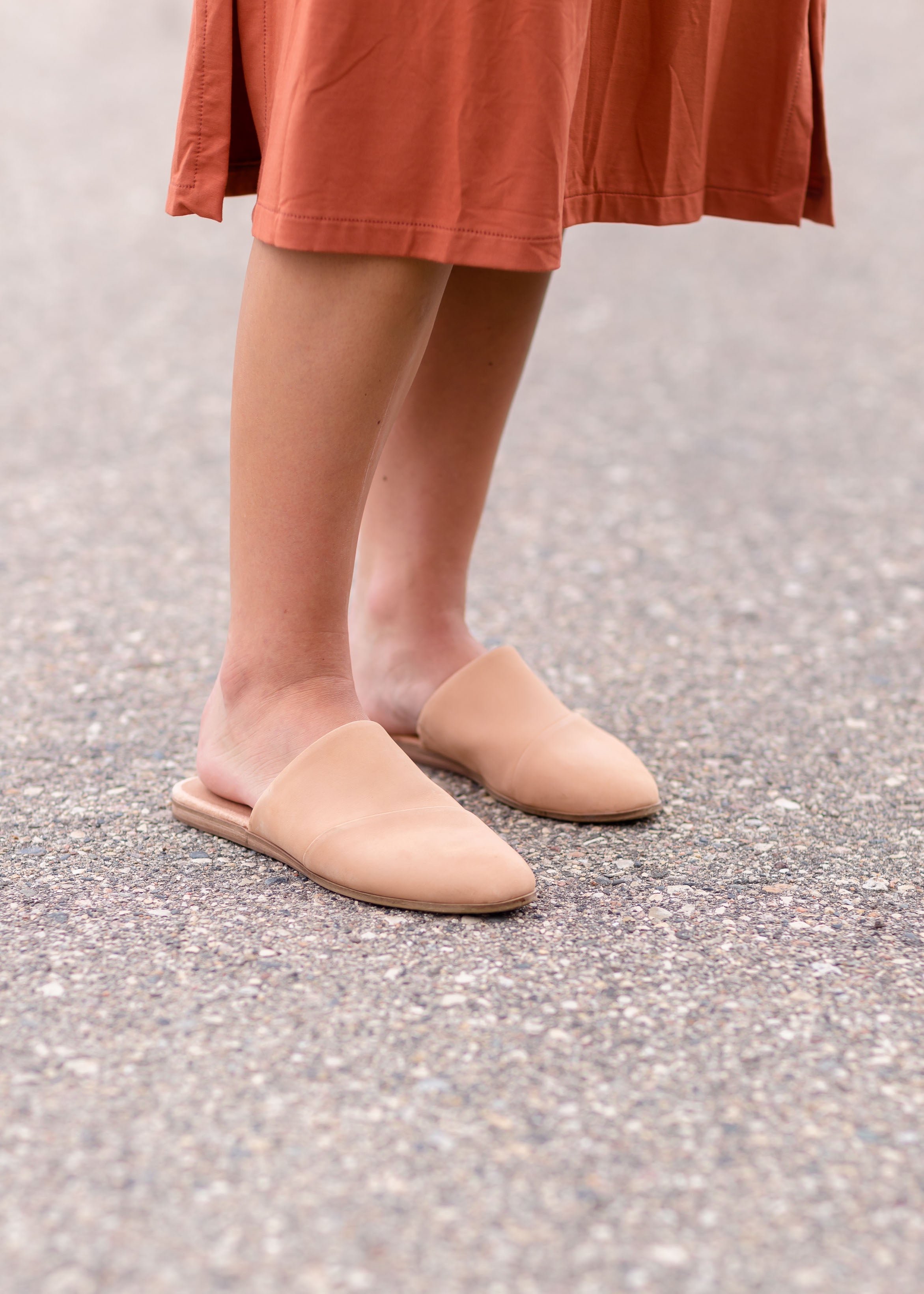 Toms honey cheap leather mules