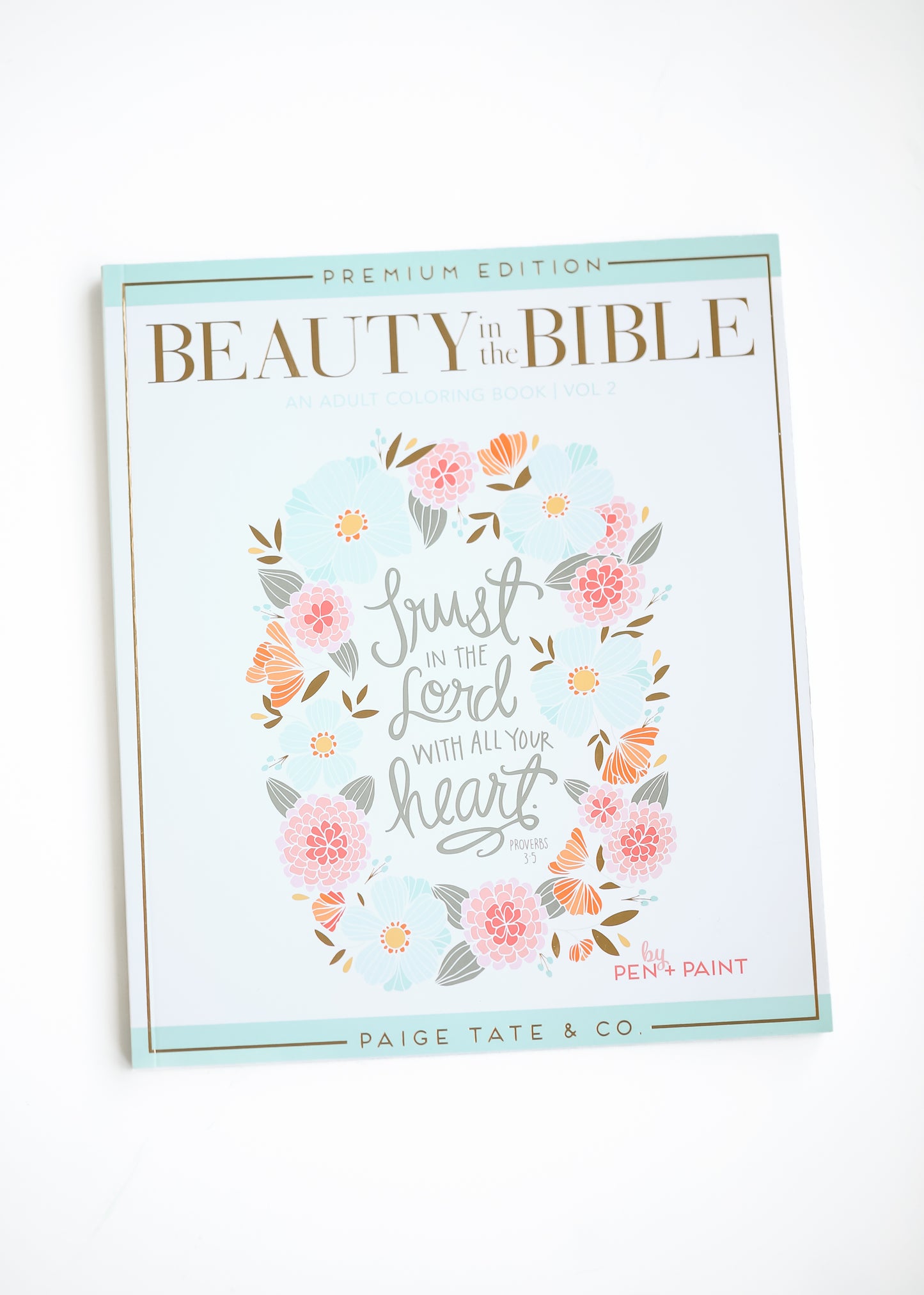 Beauty In the Bible Christian Coloring Book