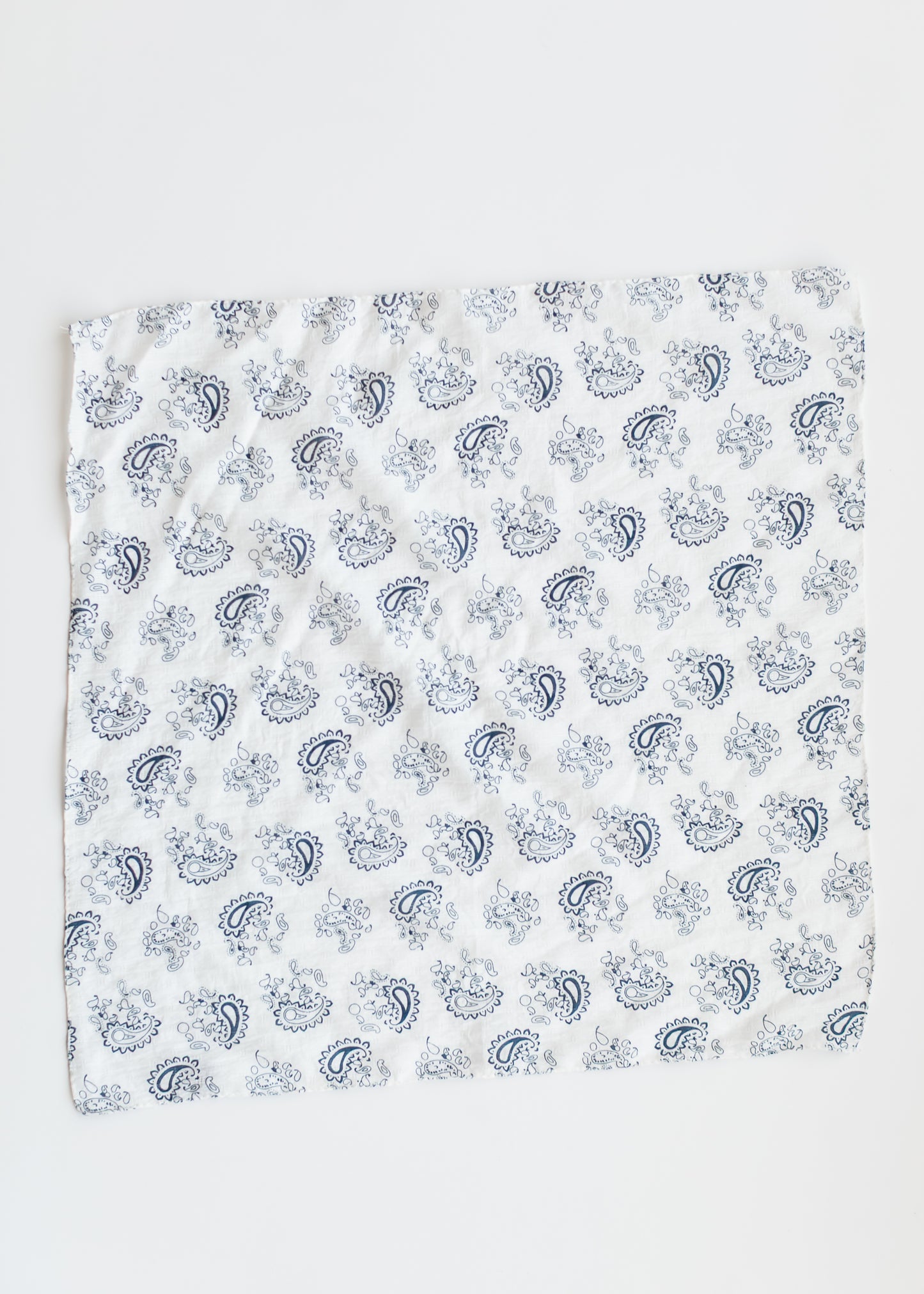 Classic Blue Paisley Bandana