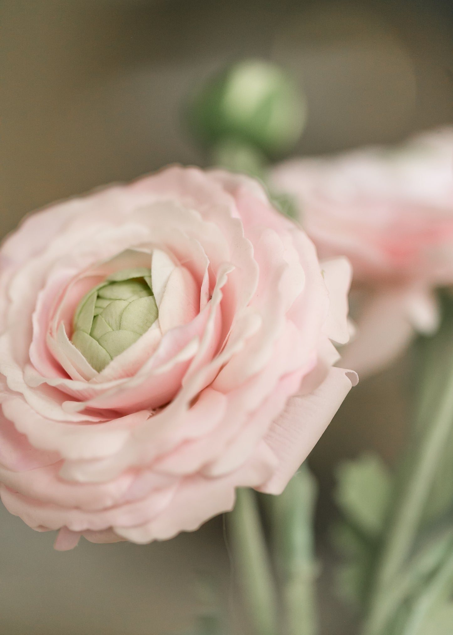 Real Touch Ranunculus Floral Stem