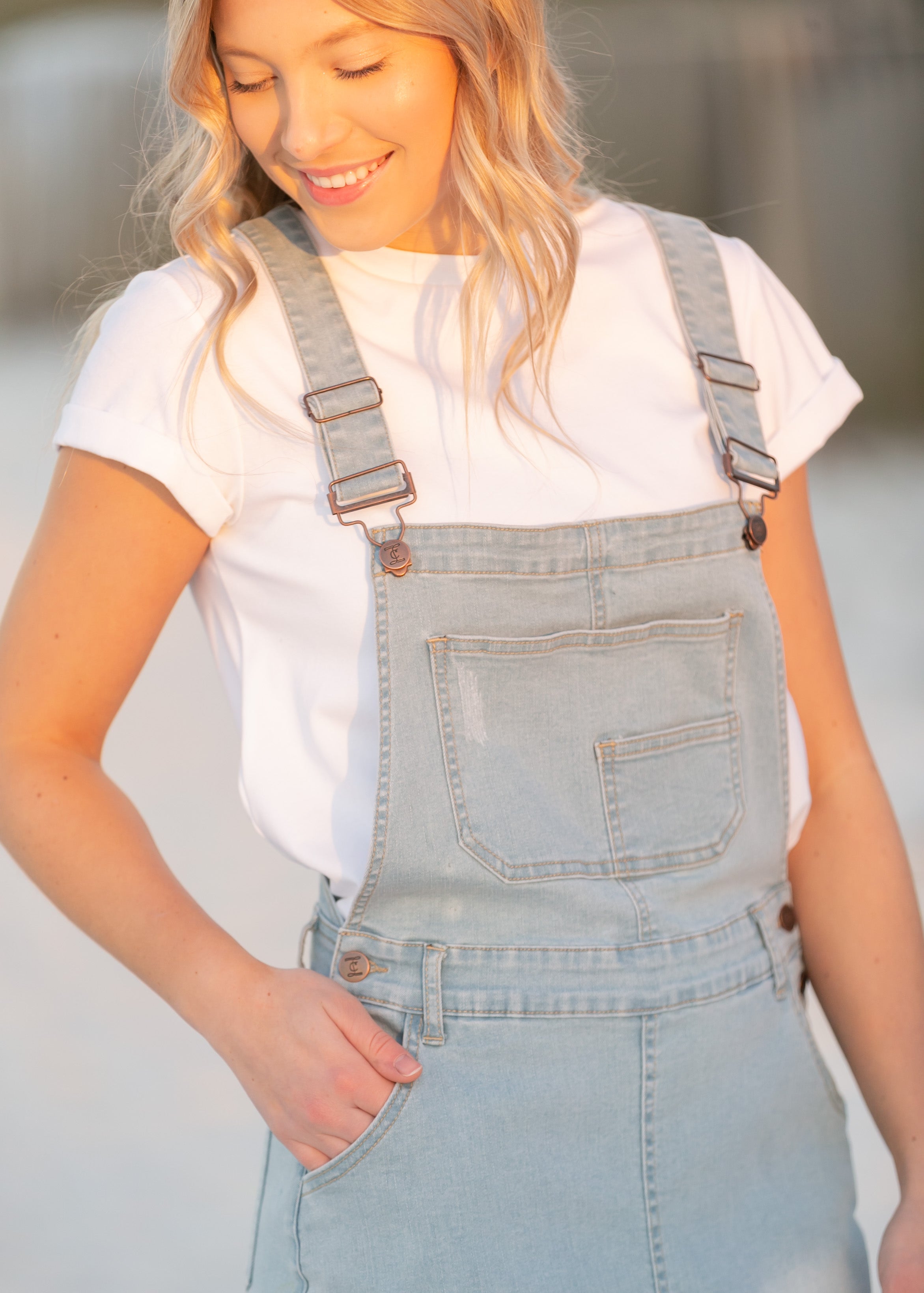 Aria Denim Overall Jumper Dress – Inherit Co.