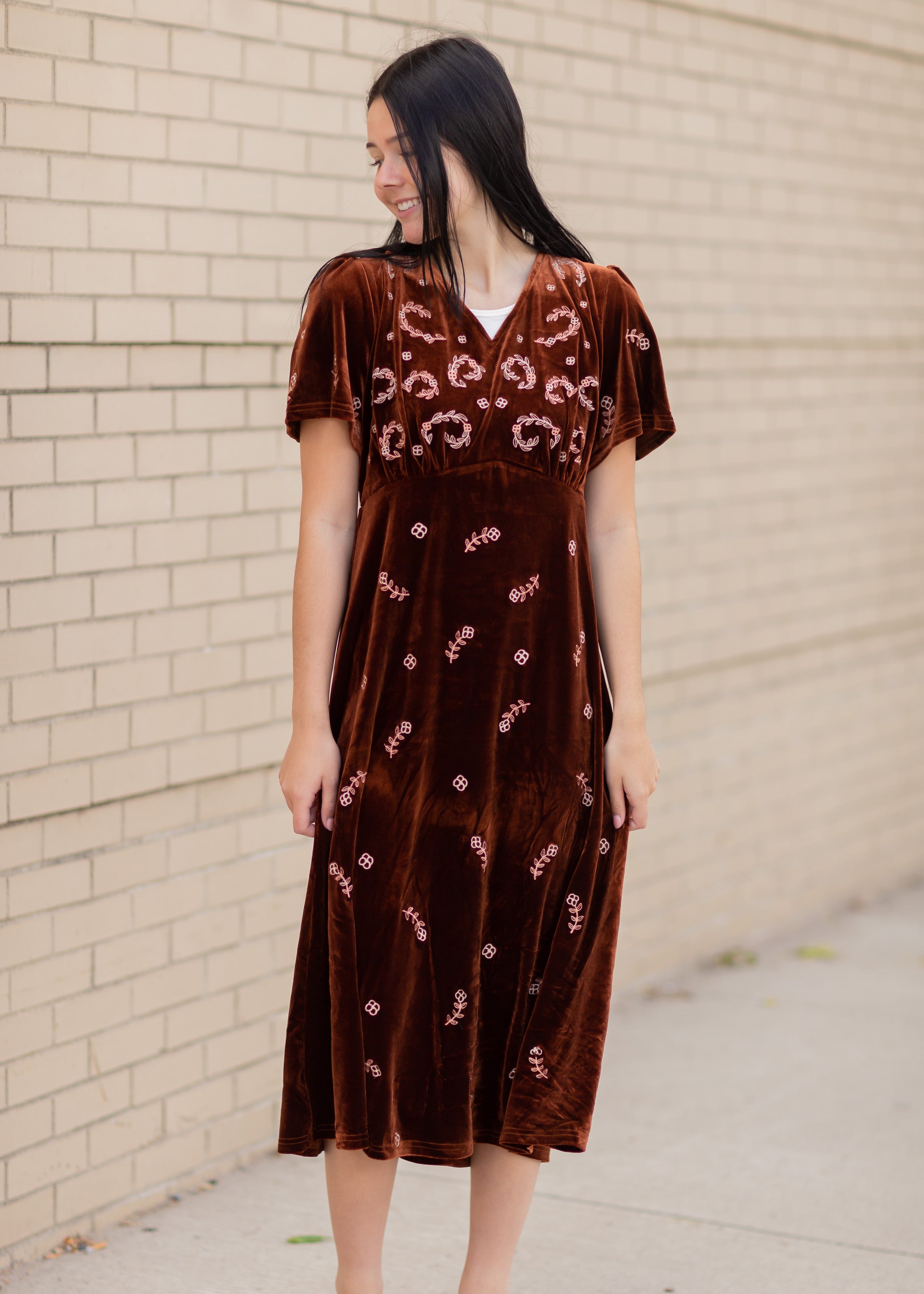 Short Sleeve Embroidered Velvet Dress - FINAL SALE – Inherit Co.